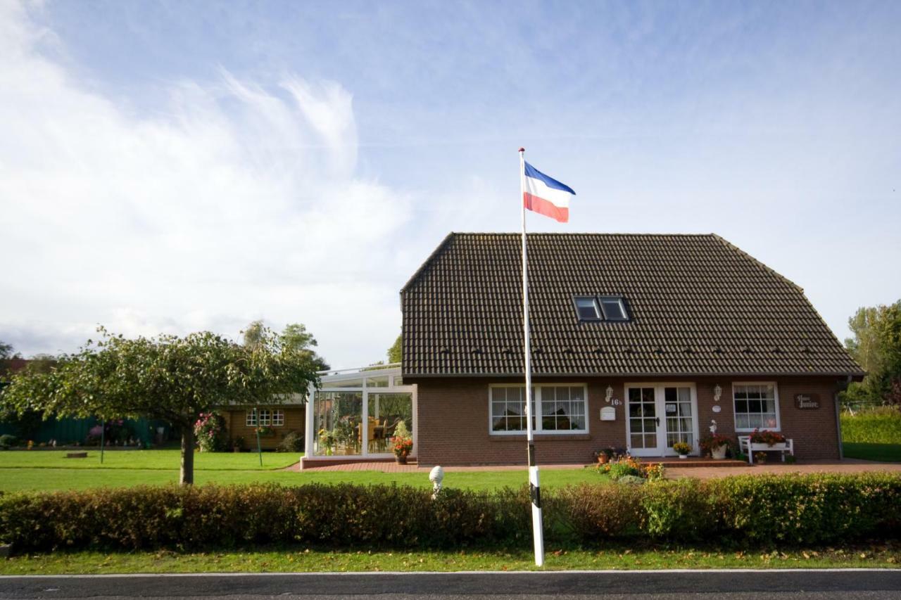 Haus Junior Apartment Hohwacht Bagian luar foto